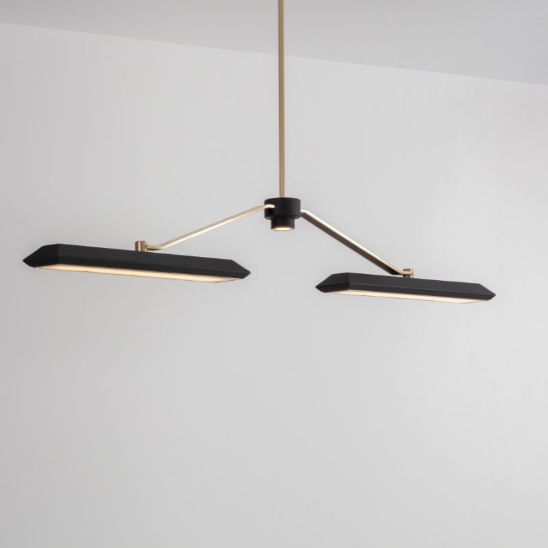 Bert Frank Rinato Linear Chandelier 2